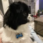 Kerri Blackmore - @kerri.blackmore - Instagram