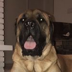 @kerribush2112 - Instagram
