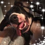 Kerri Carpenter - @itskerrisjourney - Instagram