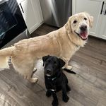 Kerri Carpenter - @kcsun7 - Instagram