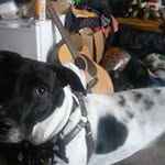 Kerri Cloud - @cloudkerri - Instagram