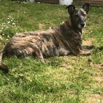 Kerri Coffey - @coffeybean20 - Instagram