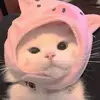 Keri Cummins - @keri.cummins - TikTok