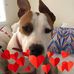 Kerri Douglas - Facebook