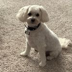 Kerry Flaherty Alleman - @kerry_alleman - Instagram
