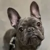 Keri Franks - @kfranks59 - TikTok