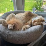 Kerri Gallagher - @krrrbr - Instagram