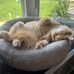 Kerri Gallagher - Facebook