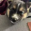 Kerrie goodson - @kerrie.goodson - TikTok