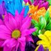 Kerri Griffiths - Facebook