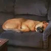 kerrigrimm - @kerrigrimm - TikTok