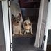 Kerri Guy - Facebook