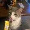 Kerri - @kerrihaley30 - TikTok