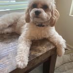Kerri Carris Hardin - @kerriann0716 - Instagram