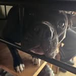 Kerri Hatfield - @angelis19766 - Instagram