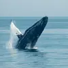 Keri Hurst - @keri.hurst - TikTok