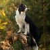 Kerry Hurst - Facebook