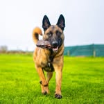 Kerry Hurst - @kerryhurst3 - Instagram