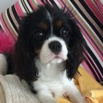 Kerry Inman - @kerryinman - Instagram