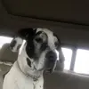 kerriekaykeys - @kerriekaykeys - TikTok