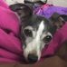 Kerri Larkin - Facebook