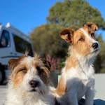 Kerri Long - @frankie_n_buster_ - Instagram