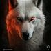 Kerri Long - Facebook