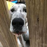 Kerri Swindlehurst Mackey - @stella_mae_49619 - Instagram