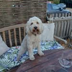 Kerry Manning - @kerry_manning - Instagram