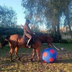 Kerri Marsh - @natures_gifts132 - Instagram