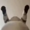 Kerri Marshall - @kerrimarshall6695 - TikTok
