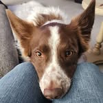 Kerri McBride - @napleskerri - Instagram