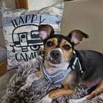 Kerri McLeod-Askew - @mcleodaskew - Instagram