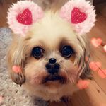 Kerri - @kerri_munro2022 - Instagram