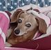 Kerri Noeldner - Facebook