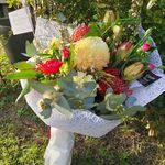Kerri-Lee Pearson - @sapphireladybugknits - Instagram