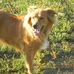 Kerrie Peck - Facebook