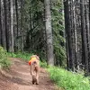 Kerri Richardson - @kerri1973 - TikTok