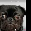 Kerri Richardson - @material_girl575 - TikTok