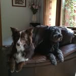 Kerry Roach - @kerry.roach.5555 - Instagram