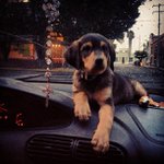 Kerri Robertson - @chidadwi - Instagram