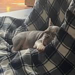 Kerri Ross - @kerriross1971 - Instagram