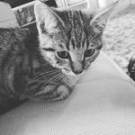 Kerri Shields - @kerri_shieldss - Instagram