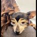 Kerri Shields - Facebook