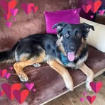 Kerri Simpson - Facebook