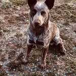 Kerri Snyder - @kerri_47 - Instagram