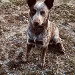 Kerri Snyder - Facebook