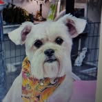 Kerri A Steeno - Facebook