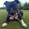 Kerry Steen - @kerry.steen - TikTok