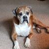 Kari Steiner Berg - @karisteinerberg - TikTok